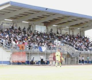 La tribuna dello stadio Benedetti, nei playoff della scorsa stagione
