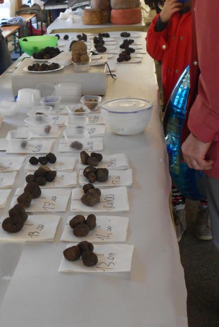 Alla Festa del tartufo il libro di Rondanini