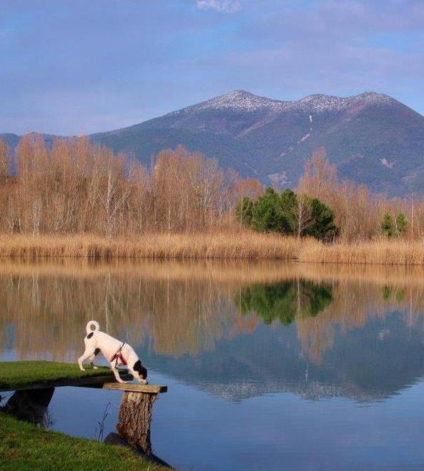 Cambia volto l’ex cava Donati: nuovo chalet, tavoli e panchine 