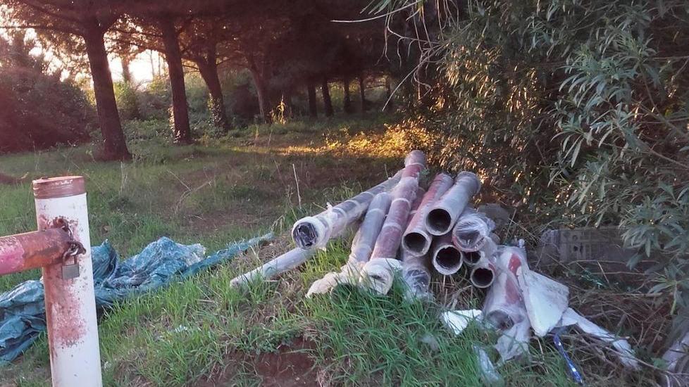 Diversi tubi abbandonati tra gli alberi alle Morelline