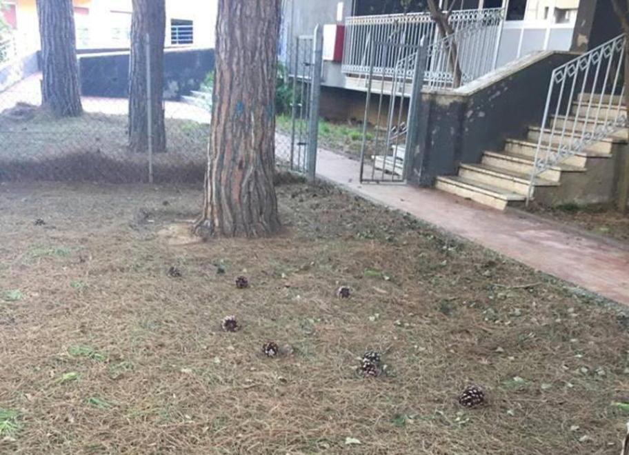 Il giardino resta insicuro Bambini costretti in classe 