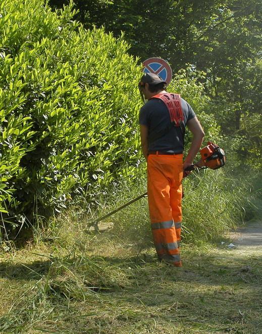 La gestione del verde agli agricoltori L’offerta del Comune 