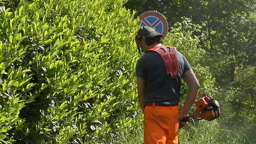 La gestione del verde agli agricoltori L’offerta del Comune