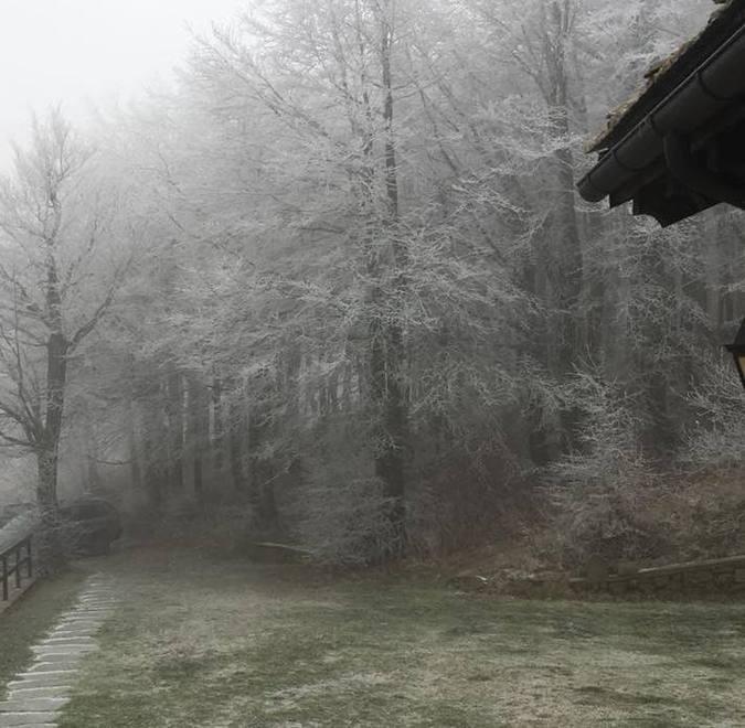 Cadono i primi fiocchi di neve su Cusna e Passo di Pradarena 