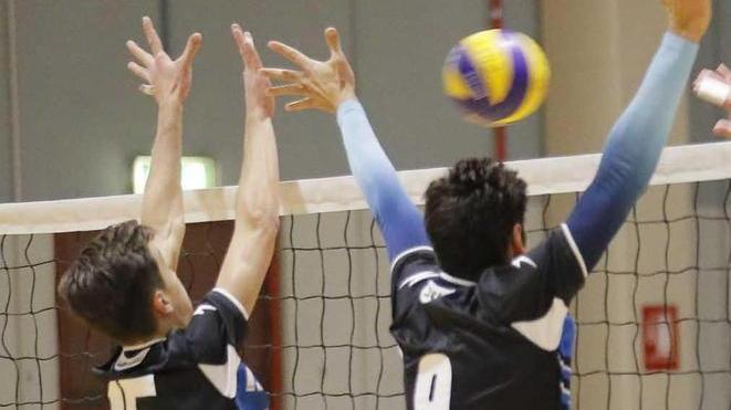 PALLAVOLO