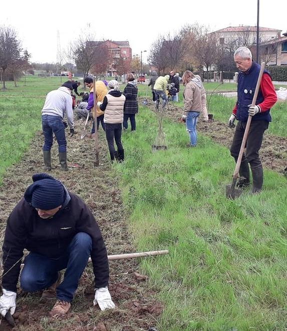 I volontari dei 5 stelle piantano 500 alberi