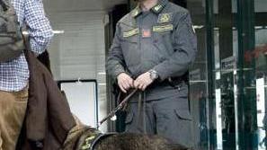 La droga tra le banane. Ultima stangata per i “fratelli cocaina”