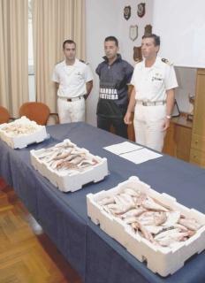 In alto si misura la rete Sopra la merce sequestrata