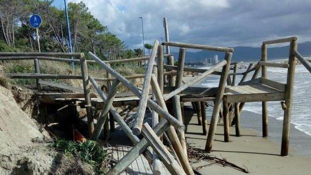 «I pini abbattuti per recuperare la duna del Tony’s»