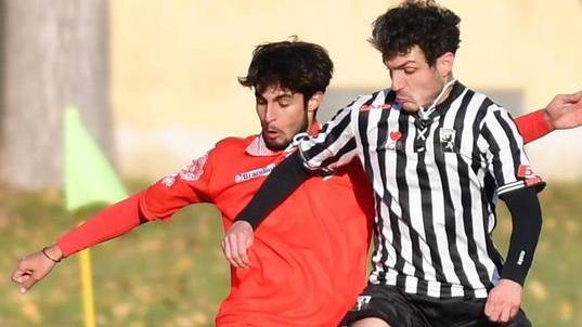 Rialzare subito la testa È l’imperativo del Grosseto