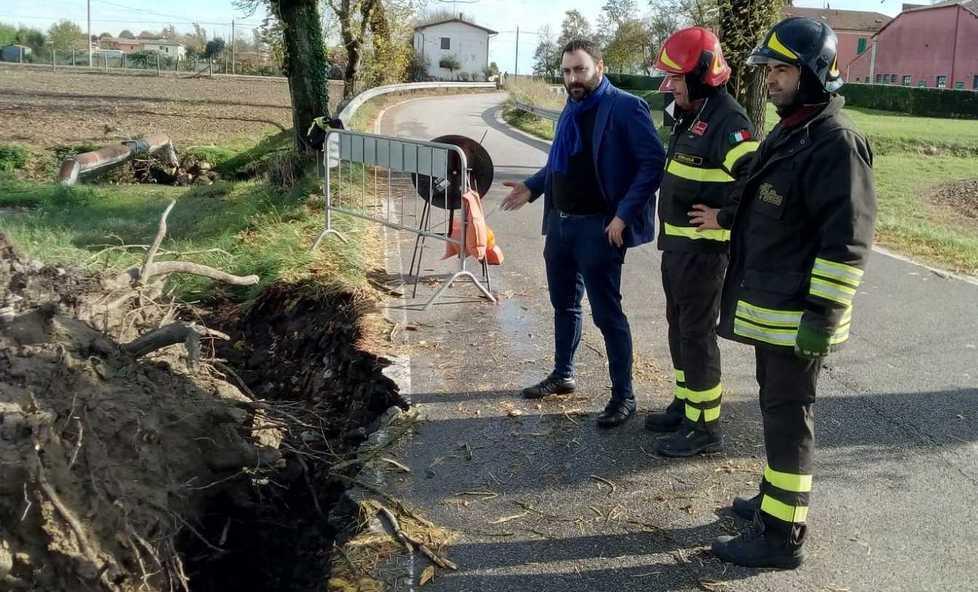 Alberi caduti causa maltempo, ora il Comune li cede gratis 