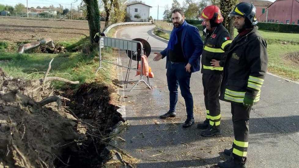 Alberi caduti causa maltempo, ora il Comune li cede gratis