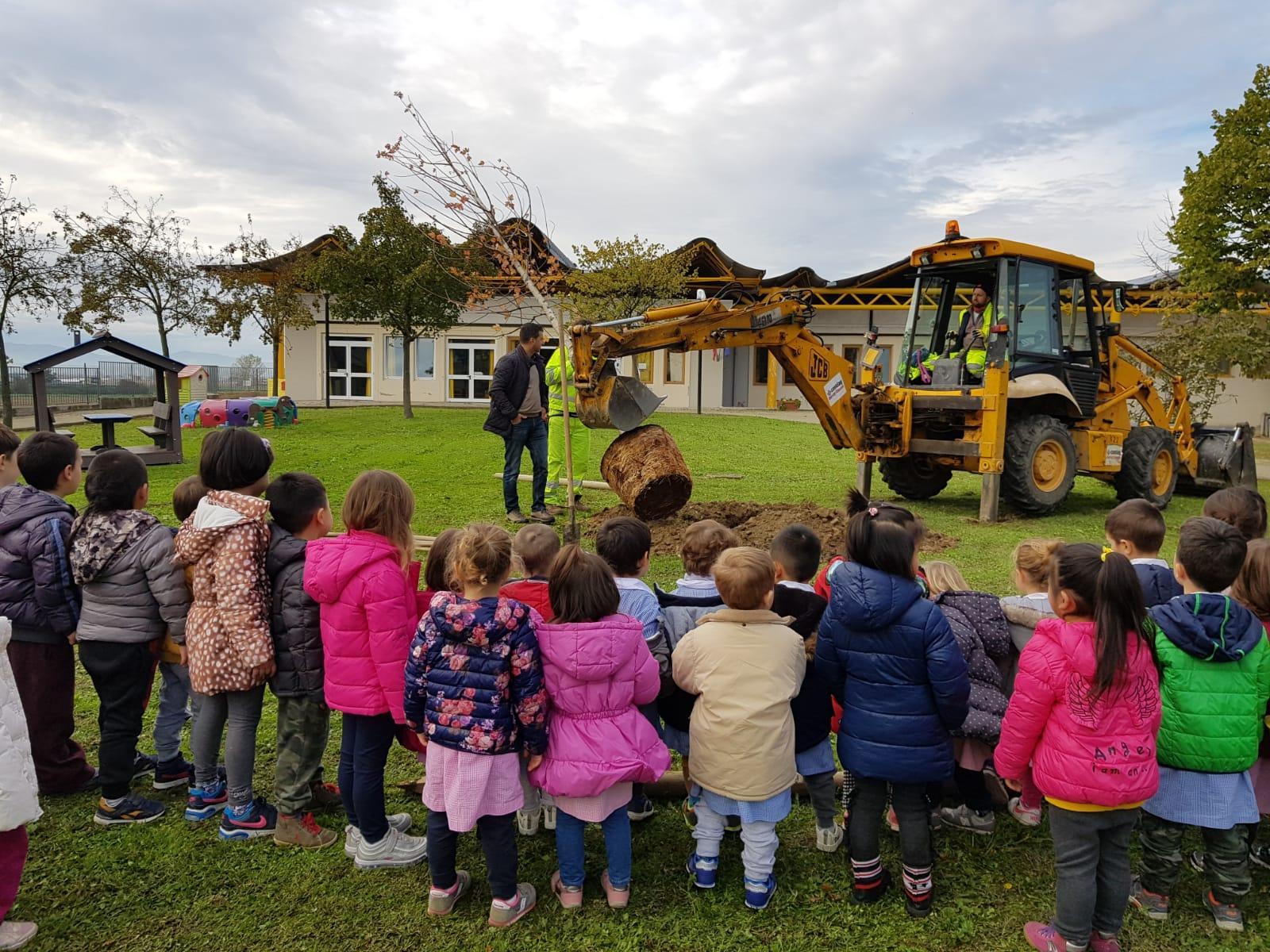 La piantumazione degli alberi nel giardino della scuola primaria "Leonetto Tintori"