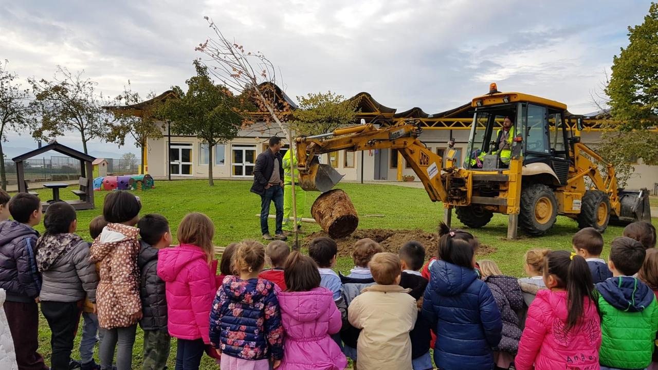 La piantumazione degli alberi nel giardino della scuola primaria "Leonetto Tintori"