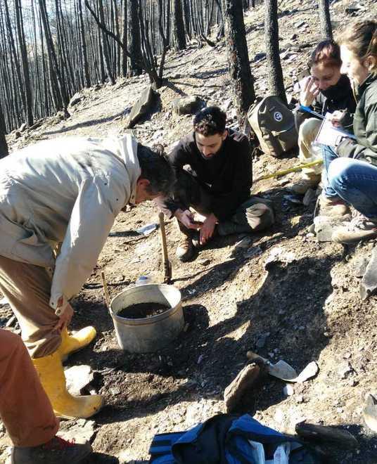 La vallata incenerita ora è un laboratorio: le Università studiano il moto del fuoco 