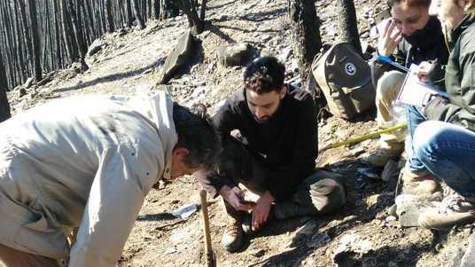 La vallata incenerita ora è un laboratorio: le Università studiano il moto del fuoco