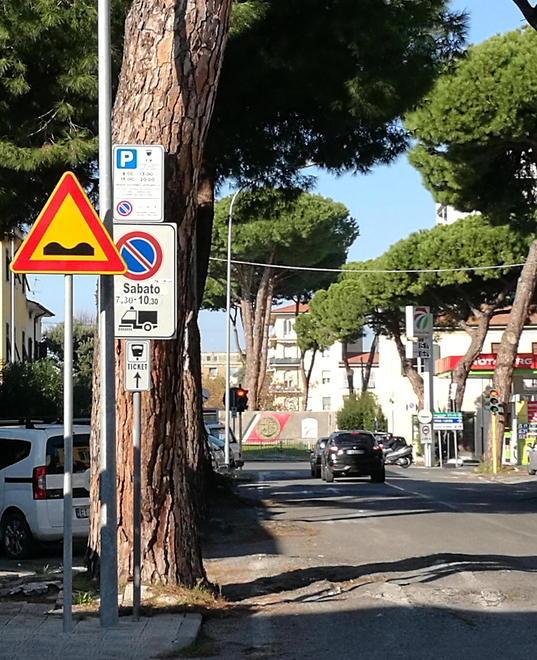 La rivolta del viale dei Tigli per l’asfalto rovinato dalle radici 