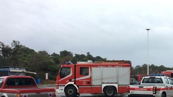 Scompare nel nulla Ritrovato dopo 14 ore nel cuore della pineta