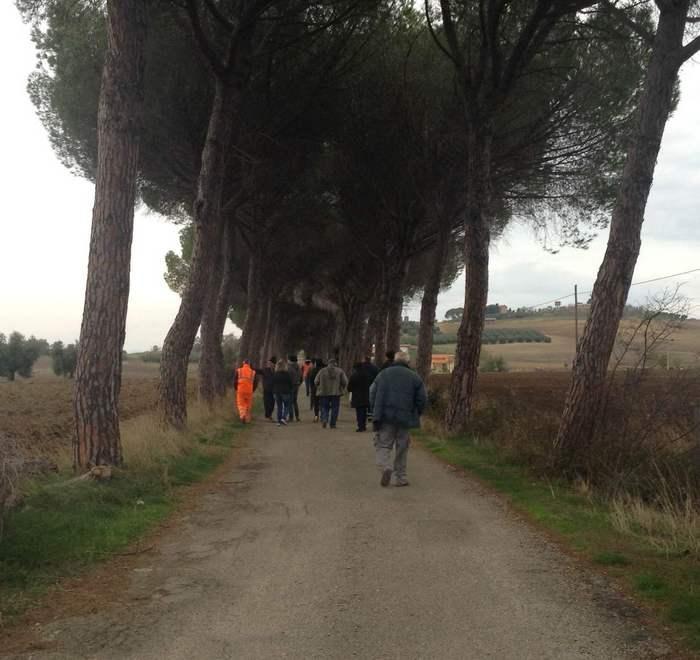 Salvi 50 su 75 pini del viale della Sabatina Vittoria per tanti cittadini e simpatizzanti 