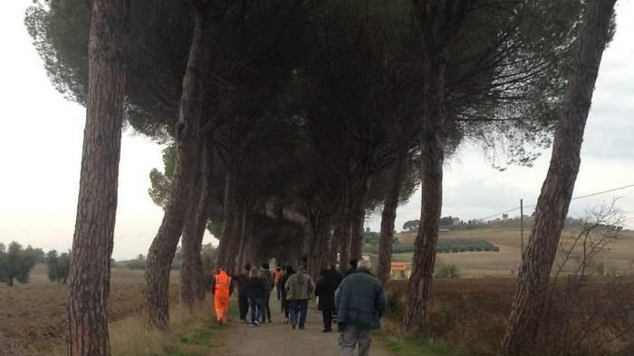 Salvi 50 su 75 pini del viale della Sabatina Vittoria per tanti cittadini e simpatizzanti