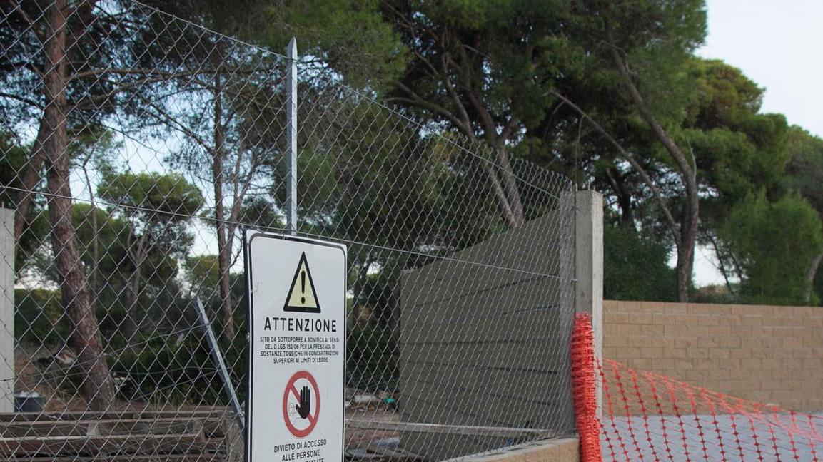 Il Comune pubblica il bando per ripulire la pineta dell’Arenosu
