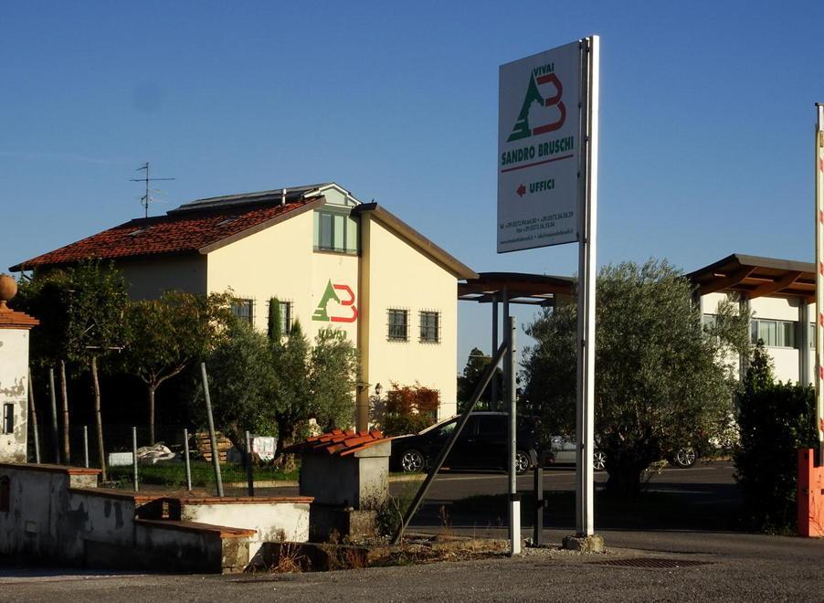 Azienda vivaistica fallita, l’avvocato di Bruschi impugna la sentenza 
