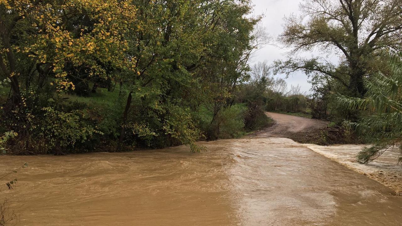 Il torrente Elsa