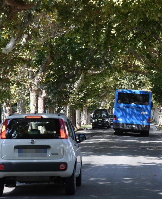 Viale IV Novembre: a gennaio via alla sosta con disco orario 