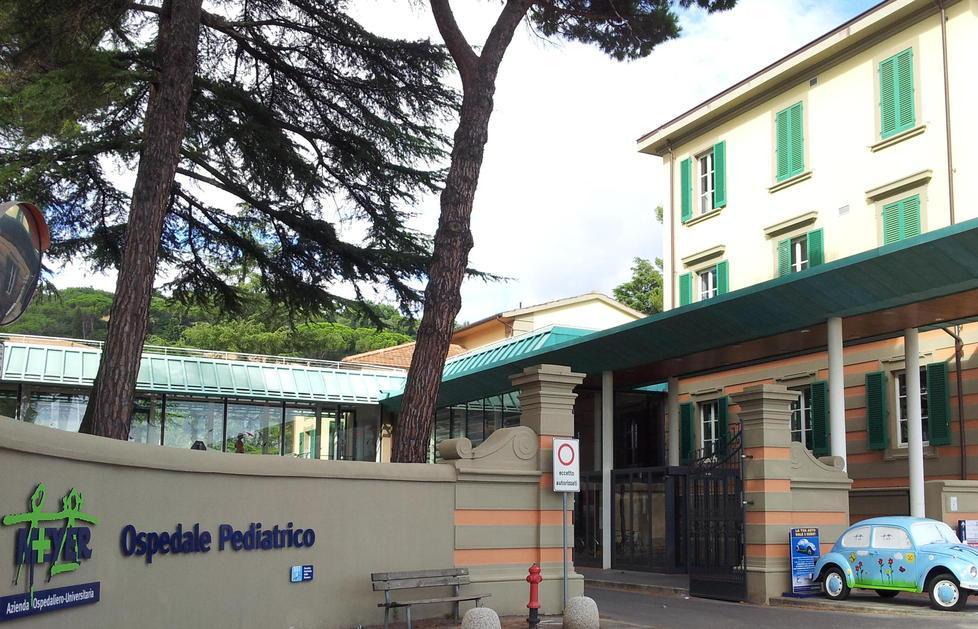 Neonata rapita dalla madre dal reparto dell’ospedale 