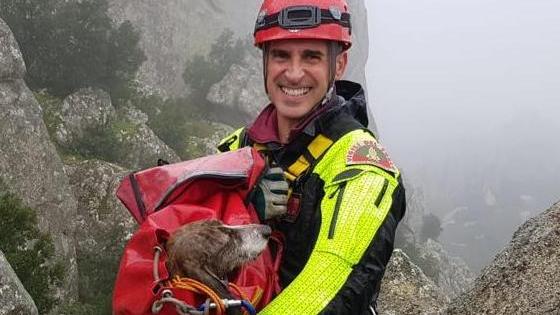 I vigili salvano due segugi sul Limbara