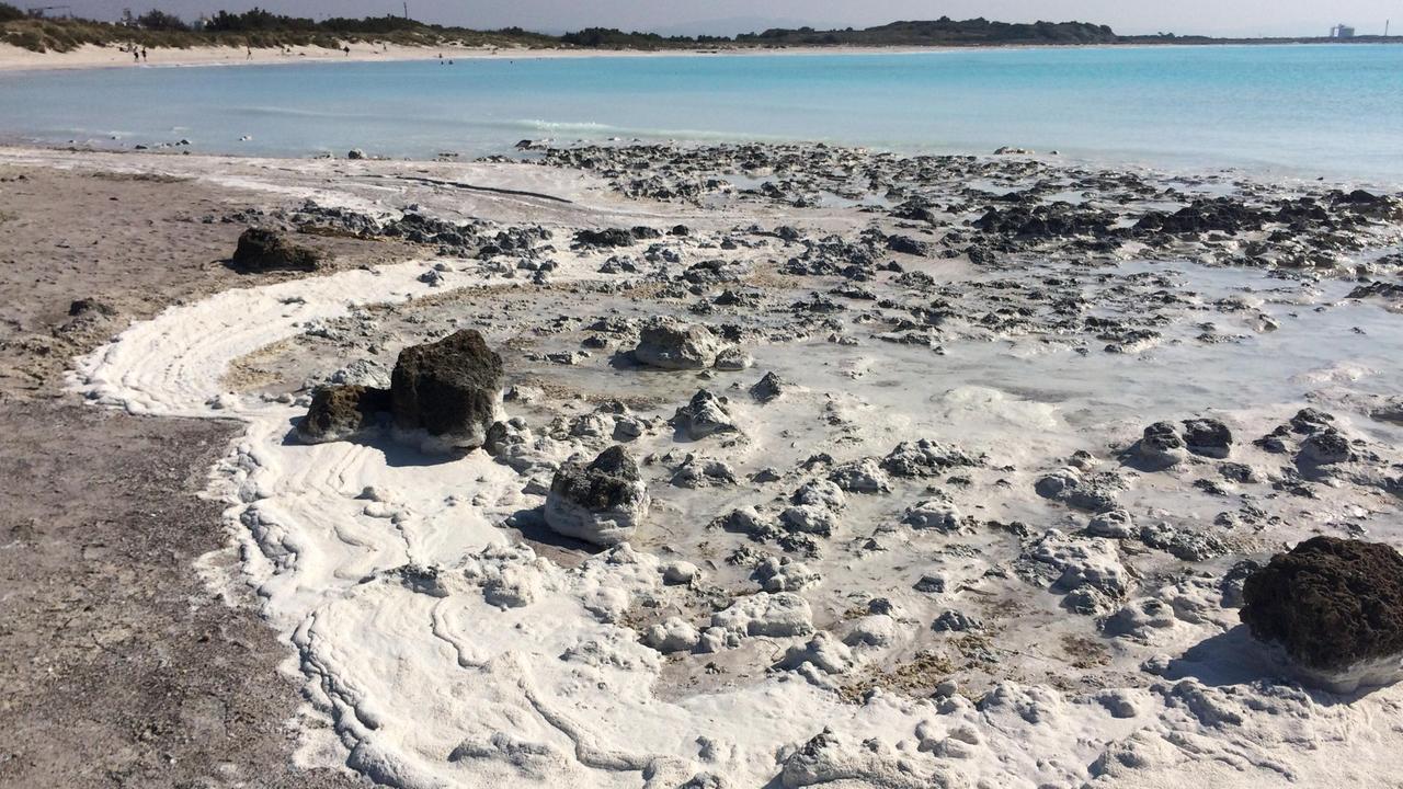 Schiume alle Spiagge bianche, ecco i risultati delle analisi Arpat
