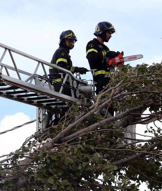 Cade un albero a Casette e il sottopasso rischia