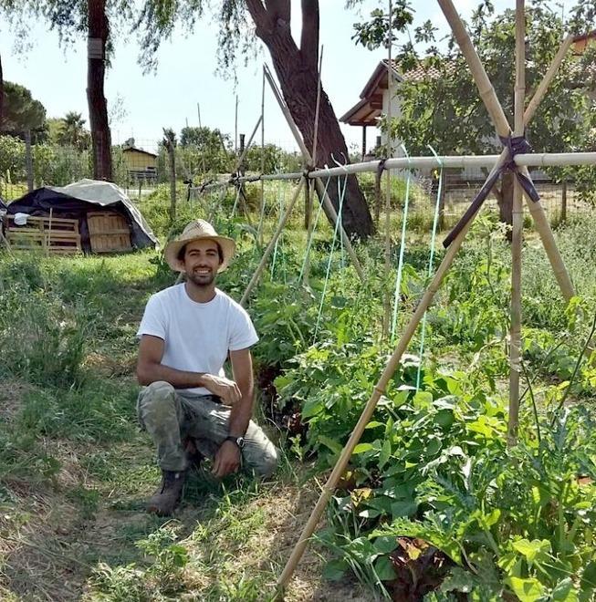 Grani antichi biologici A Lido di Camaiore parte la coltivazione