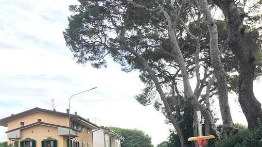 Nuova illuminazione lungo la via Aurelia
