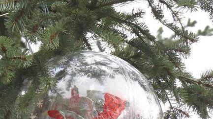 Rinviata l’apertura della pista da ghiaccio A rischio pure l’albero