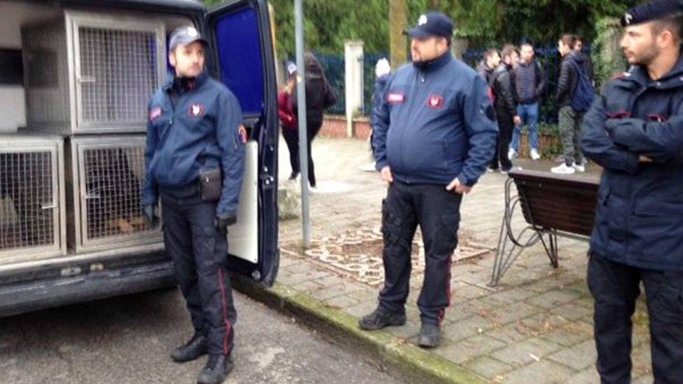Controlli coi cani antidroga