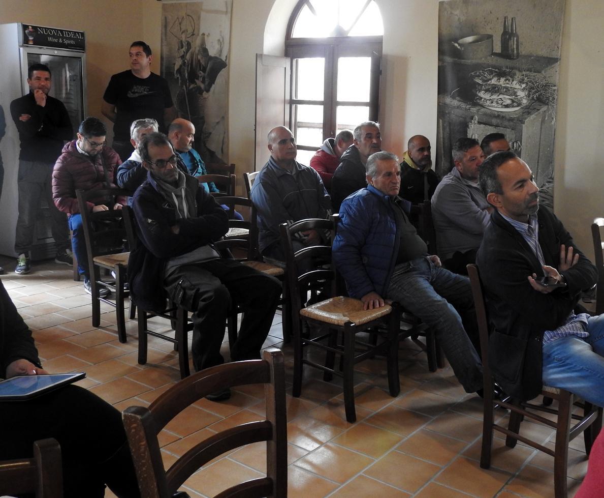 Cormorani, due settimane per una nuova soluzione 