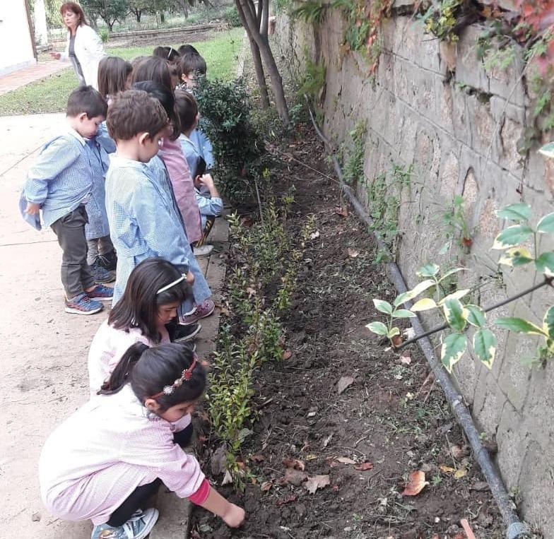 Tutti in fila per la Festa dell’albero 