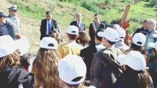 «E' il mio albero e crescerà con me»