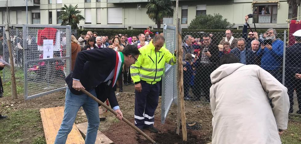 Pronto il boschetto da 100 nuovi alberi di via Galluzzi 