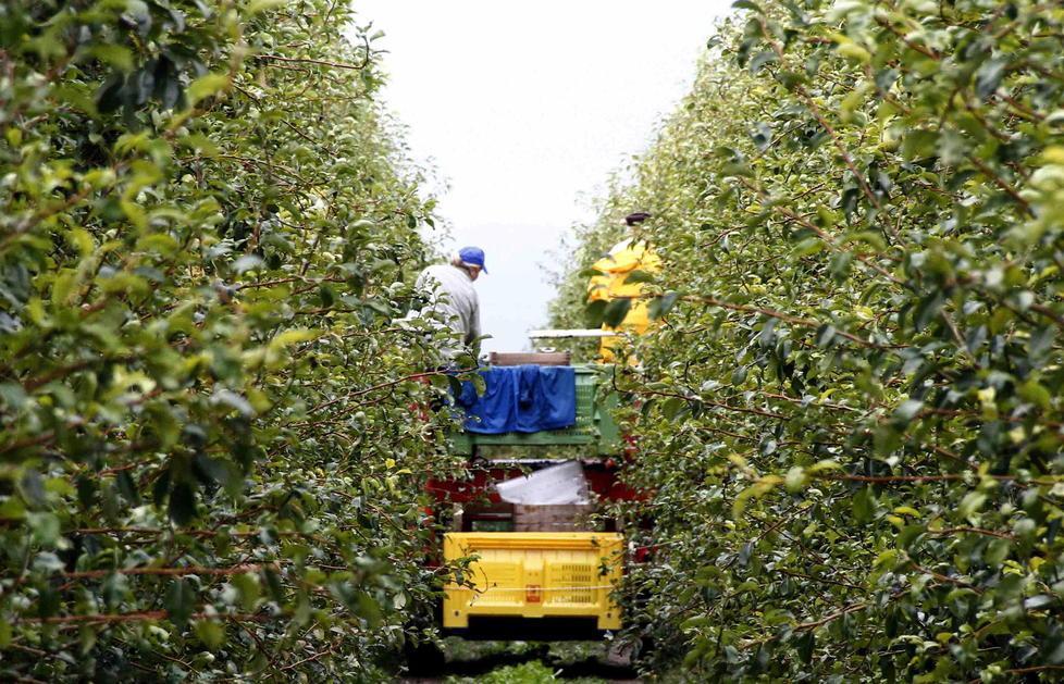 Pac, la beffa dell’Europa, tagli per 300 milioni 