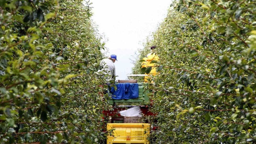 Pac, la beffa dell’Europa, tagli per 300 milioni