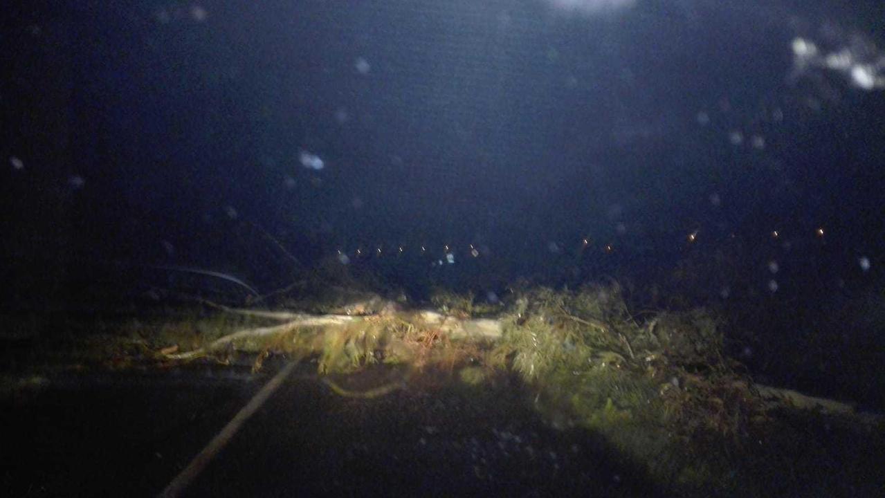 L'albero caduto sulla strada vicino a Nuraxinieddu