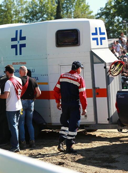 Palio, l’associazione compra l’ambulanza per i cavalli 