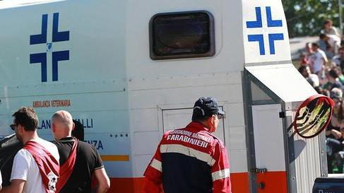Palio, l’associazione compra l’ambulanza per i cavalli