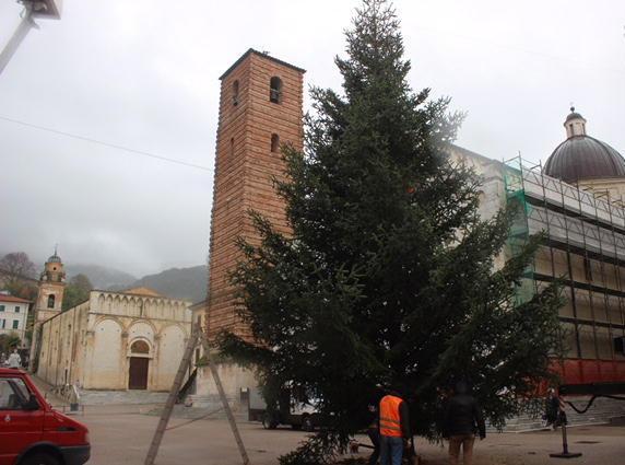Abete di 15 metri in centro
