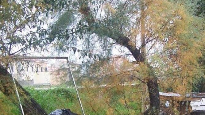 Degrado e abbandono alla foce tra i rifiuti anche una barca