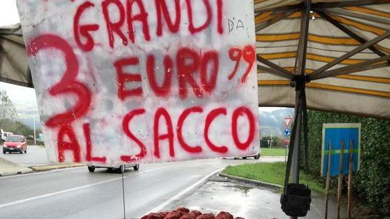 Vende abusivamente 300 chili di castagne