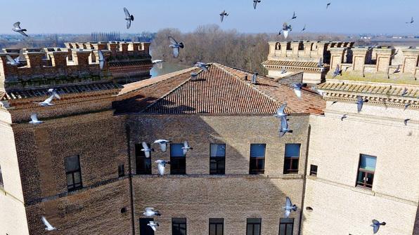 Il progetto Castello Estense va Modificato il volto del centro