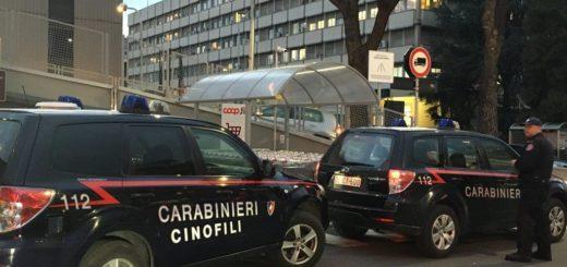 Un controllo antidroga dei carabinieri